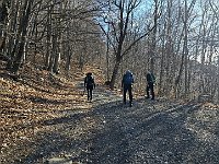 Seguiamo la sterrata  20250330 091344