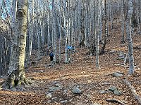 Bivio nel bosco per Gana o Quartéra  20250330 095803