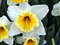 In pochi minuti e su asfalto ritorniamo al parcheggio, alla prossima !  20250330 101244