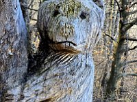 Simpatico vero?  20250330 102828