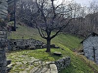 Lignasca  20250330 110723