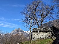 Lignasca  20250330 113719