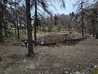 Con il suo laghetto e area picnic  20250402 081403