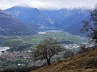 Sentiero Sommafiume - Roccoli Lorla, Pian di Spagna  20250402 092631