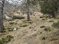 Poi un tiro molto ripido e con neve, si sale per oltre 250mt  20250402 094322