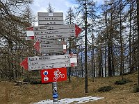 Per raggiungere Roccoli Lorla a 1450m  20250402 100147