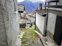 Proseguiamo con tagli su sentiero fino a Lavadee  20250402 134506