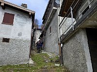 Lavadee  20250402 134528