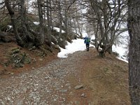 Scendiamo dalla strada militare  IMG 0847