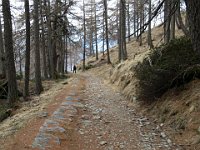 La strada militare, alternativa più tranquilla per salire al Legnoncino  IMG 0881