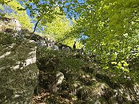 Qualcuno ci osserva  20250515 075621