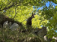 Per nulla spaventato  20250515 075627