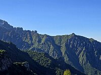 Zoom  20250515 091106