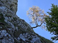 Sole  20250515 103404