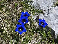 Stupende  20250515 110916