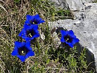 E con questa vi salutiamo, alla prossima  20250515 110918