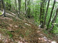 Ritorno verso il parcheggio  DSCN3927