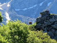 Altro incontro  IMG 6662