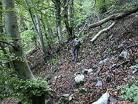 Sentiero nel bosco verso Pian Munik  20250521 071139