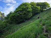 Verso la bocchetta Q1375  20250521 084512