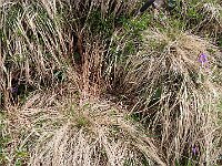 Un poco simpatico incontro  1000196482