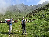 Alpe Vacchera  20250608 092813