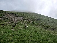 Seguiamo le bollature e le tracce sul terreno  20250608 101101