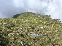 Guardando il percorso fatto  20250608 102844