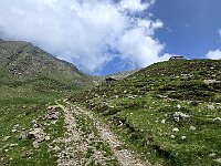 Le baite sopra l'Alpe Vacchera, siamo scesi da questa sterrata  20250608 141443