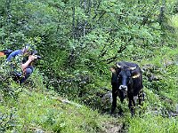 Incontri  20250618 085841