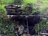 Funtanela delle Urtighe  20250618 092028