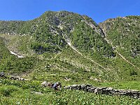 Muretti di confine  20250618 102932