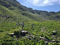 Il sentiero che prosegue  20250618 103223