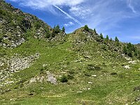 Il sentiero che scende verso il lago  20250618 111927