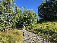 Seguiamo la strada di servizio degli impianti con qualche taglio  20250722 075932