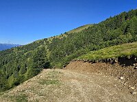 La larga strada/pista di sci  20250722 085020