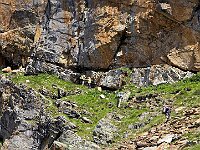 I primi già sulla gengetta  20250722 110601