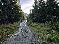 La strada che sale al lago Palù  20250904 082242