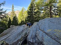 Passaggi sul sentiero  20250904 085347