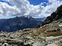 Ometti nella valletta che scende all'Alpe Sasso Nero  20250904 142715