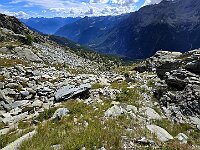 Discesa verso Alpe Sasso Nero  20250904 151612