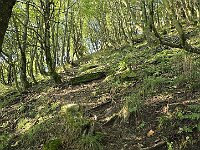 Sentiero molto ripido  20250911 081354