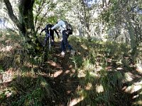 Sentiero Alto  DSCN4247