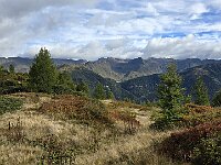 Sentiero per la Capanna Garzonera  20250914 094127