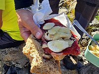 Per pranzo accompagnamo i panini con i porcini raccolti all'andata  20250914 123352