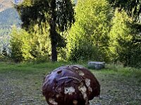 Bello e difficile da vedere  20250914 160427