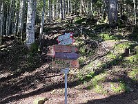 A 1300m circa troviamo un bivio: ci sono due indicazioni per il bivacco Rovedatti, uno diretto a 1:30 "Sentiero delle Arene" ed uno più lungo a 2:15 che corrisponde all'Alta Via della Val Tartano (AV-163)  20250918 090612