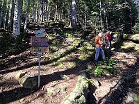 Prendiamo il sentiero più diretto  20250918 090616