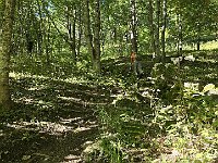 Sentiero bello ripido  20250918 092101(0)