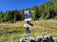 Un ultimo strappetto ci porta nei larghi prati della Casera Pustaresc  20250918 101522